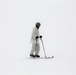 Cold-Weather Operations Course Class 18-05 students practice skiing at Fort McCoy
