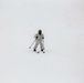 Cold-Weather Operations Course Class 18-05 students practice skiing at Fort McCoy