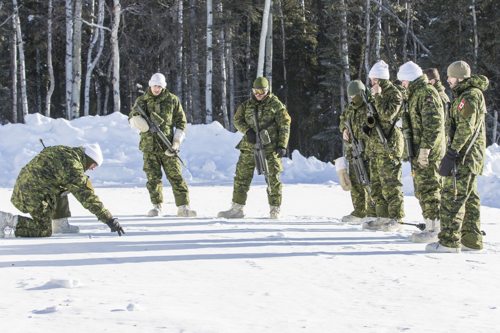 Canadian response force joins Arctic Eagle 2018