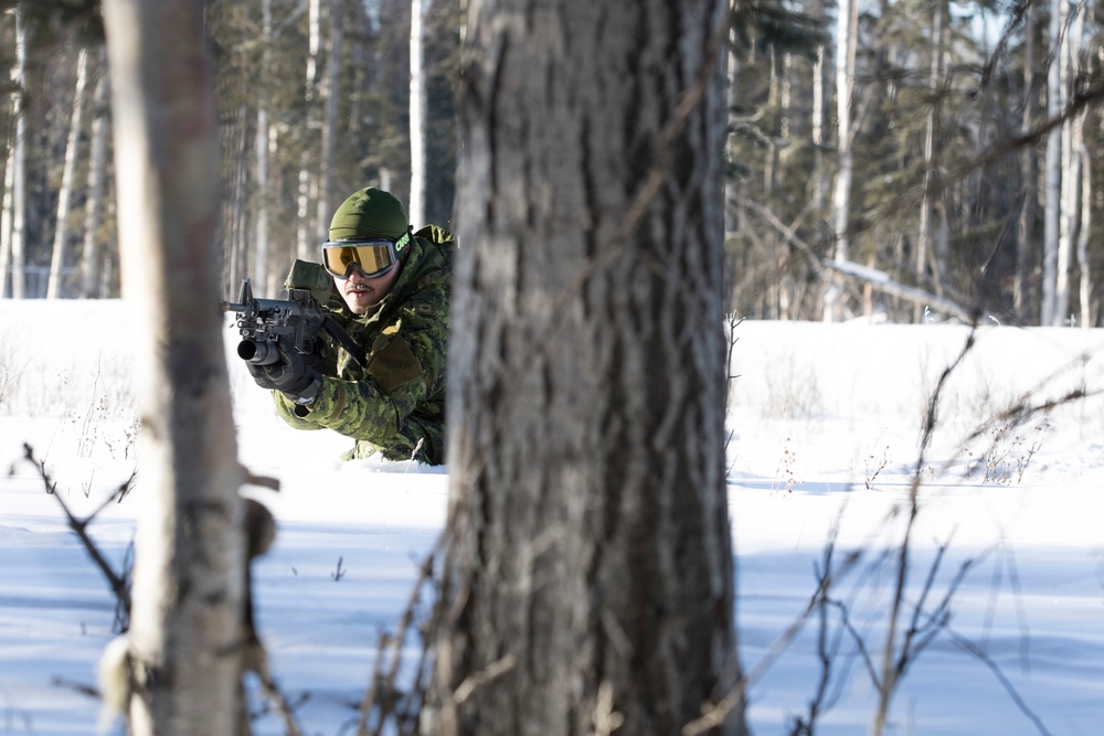 Canadian Royal Regiment trains at Donnelly Training area for Arctic Eagle 2018