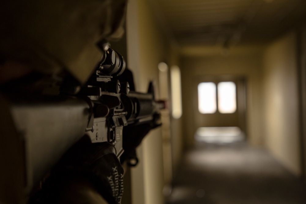 II MIG Marines conduct Scenario Provisional Infantry Training