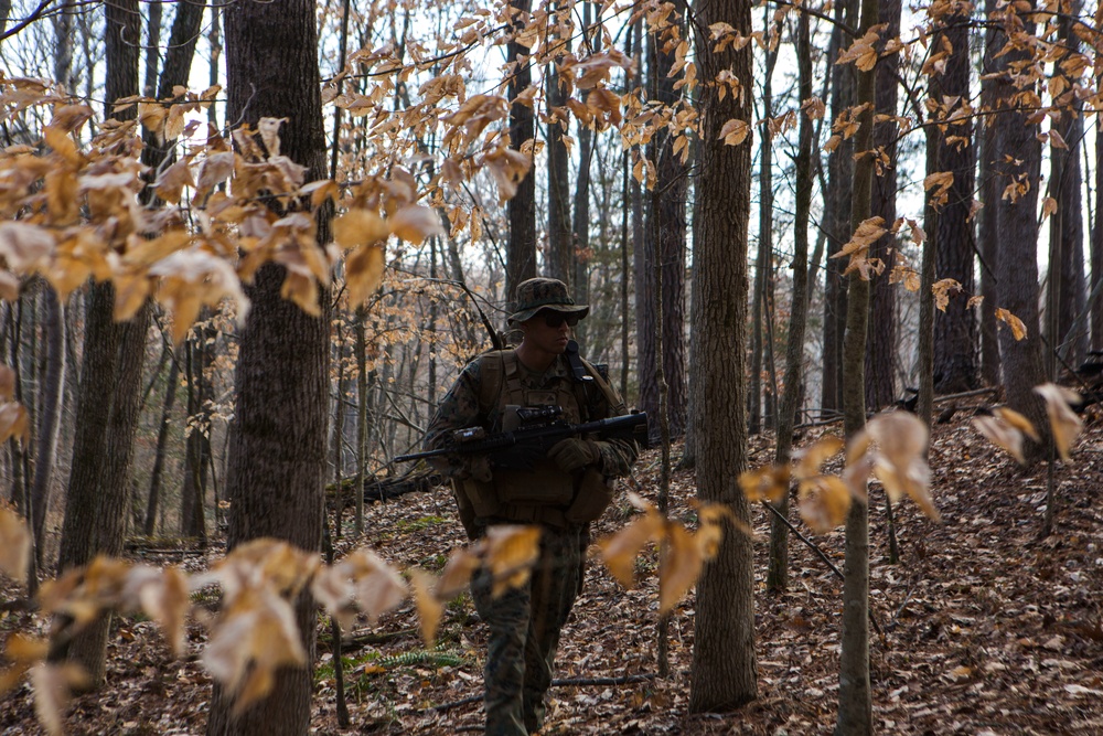 1st Battalion, 2nd Marines Deployment For Training