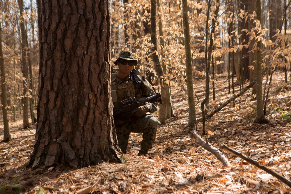 1st Battalion, 2nd Marines Deployment For Training