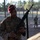 359th Theater Tactical Signal Brigade 2018 Best Warrior Competition