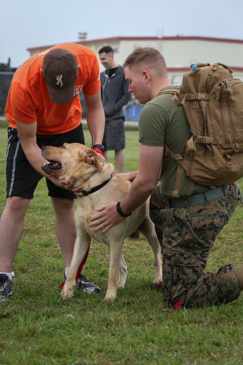 CLB-31 Marines conduct a field meet