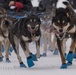 The Last Great Race on Earth:46th Annual Iditarod kicks off in Anchorage