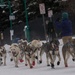 The Last Great Race on Earth:46th Annual Iditarod kicks off in Anchorage