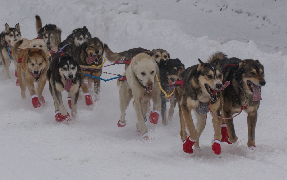 The Last Great Race on Earth:46th Annual Iditarod kicks off in Anchorage