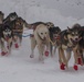 The Last Great Race on Earth:46th Annual Iditarod kicks off in Anchorage