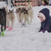 The Last Great Race on Earth:46th Annual Iditarod kicks off in Anchorage