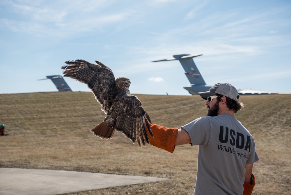 USDA WV Master Bird Bander translocate red-tail hawks