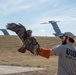 USDA WV Master Bird Bander translocate red-tail hawks