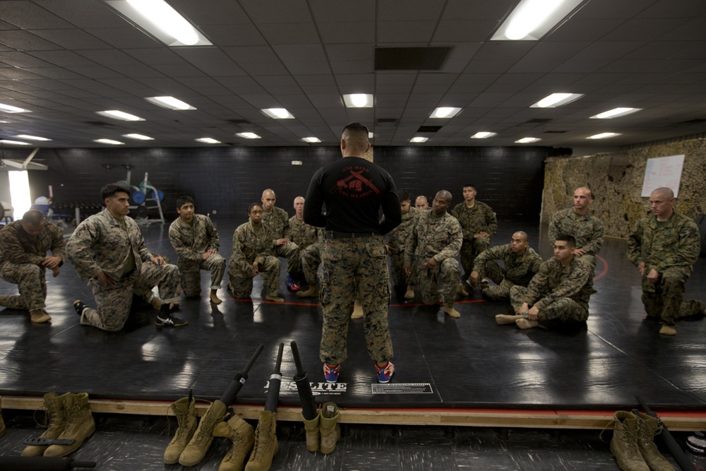 MCRD San Diego Martial Arts Instructor Course