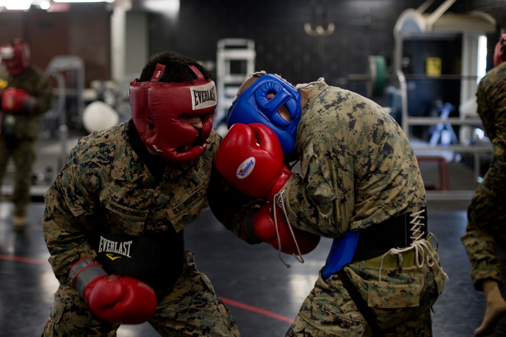 MCRD San Diego Martial Arts Instructor Course