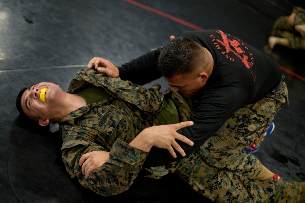 MCRD San Diego Martial Arts Instructor Course