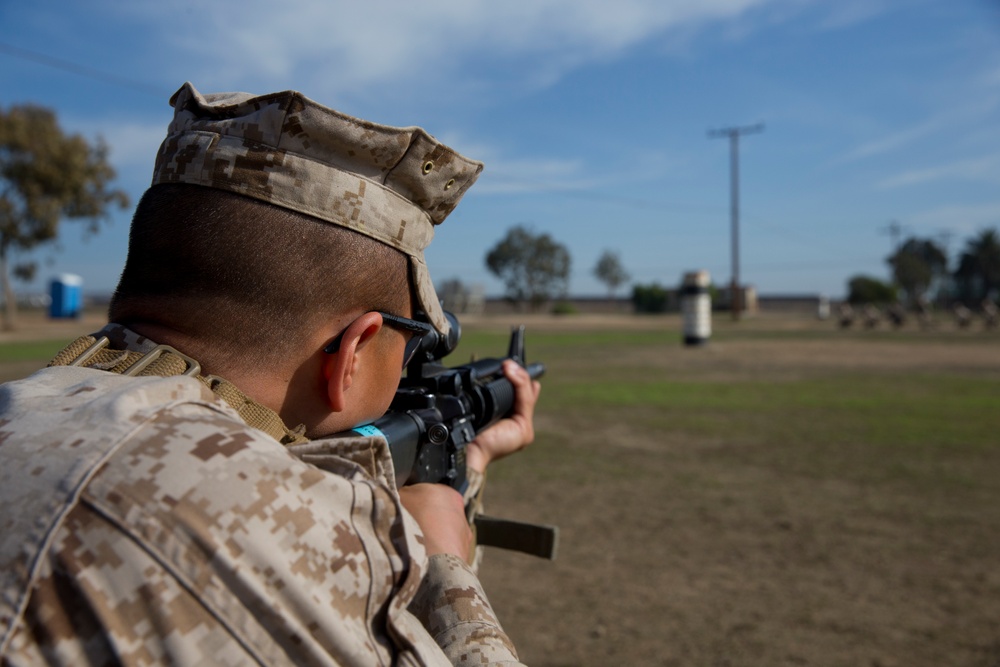 Mike Company - Grass Week