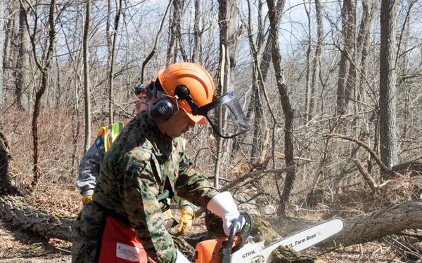 NY Military Force members conduct chainsaw training at Camp Smith