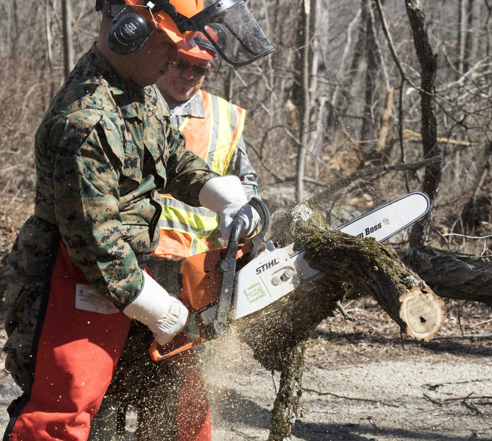 NY Military Force members conduct chainsaw training at Camp Smith