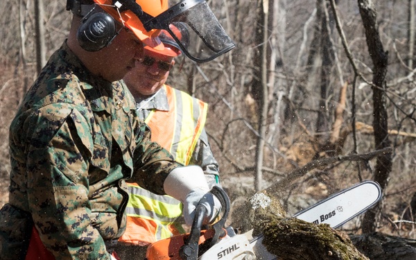 NY Military Force members conduct chainsaw training at Camp Smith