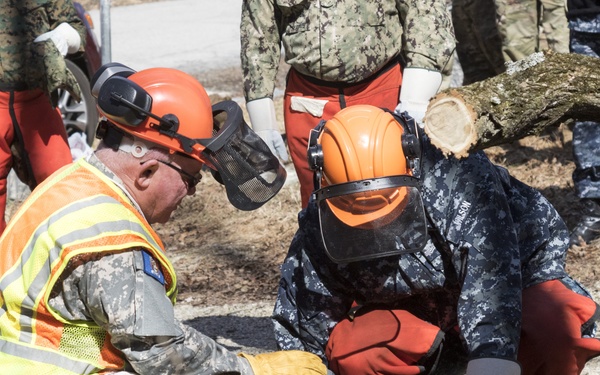 NY Military Force members conduct chainsaw training at Camp Smith
