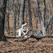 Cold-Weather Operations Course Class 18-05 students build improvised shelters at Fort McCoy