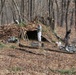 Cold-Weather Operations Course Class 18-05 students build improvised shelters at Fort McCoy