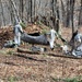 Cold-Weather Operations Course Class 18-05 students build improvised shelters at Fort McCoy