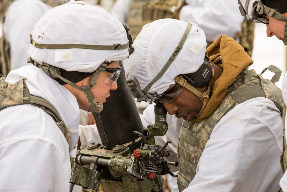 3rd Squadron, 71st Cavalry Regiment Mortar Live-Fire Exercise