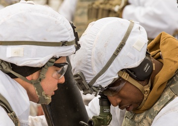 3rd Squadron, 71st Cavalry Regiment Mortar Live-Fire Exercise
