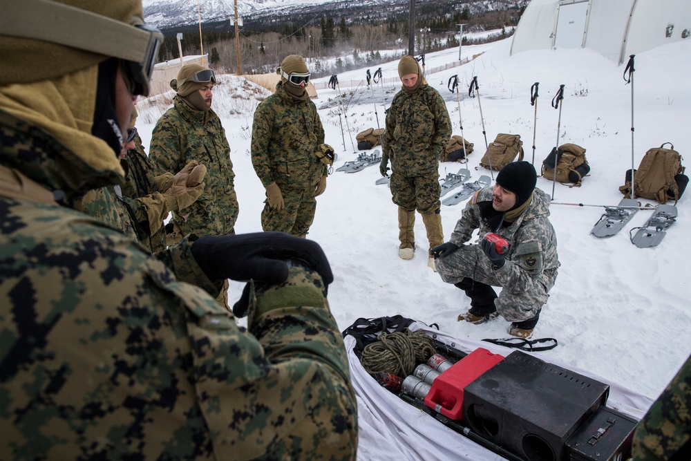 Task Force Arctic Edge