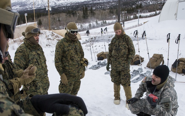Task Force Arctic Edge