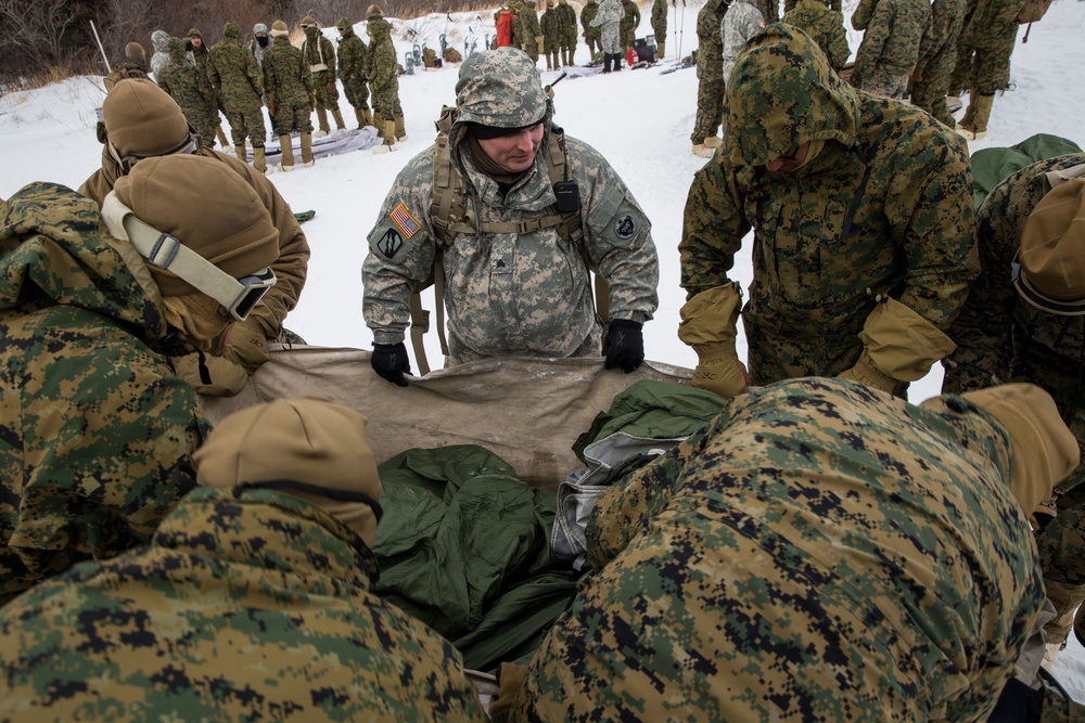 Task Force Arctic Edge