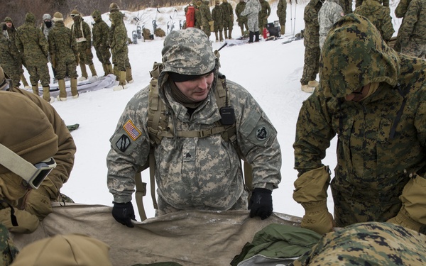 Task Force Arctic Edge