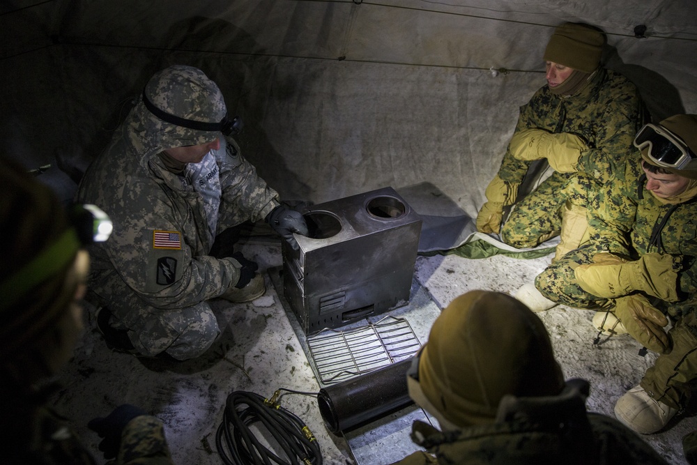 Task Force Arctic Edge