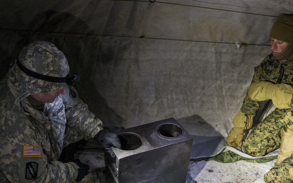 Task Force Arctic Edge