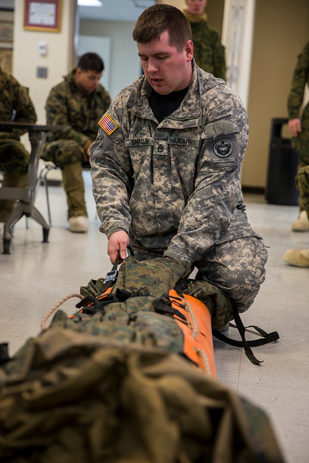 Task Force Arctic Edge