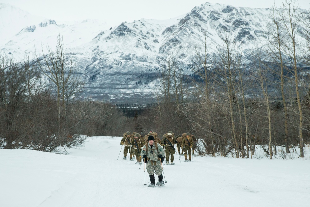 Task Force Arctic Edge