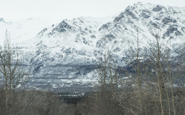 Task Force Arctic Edge