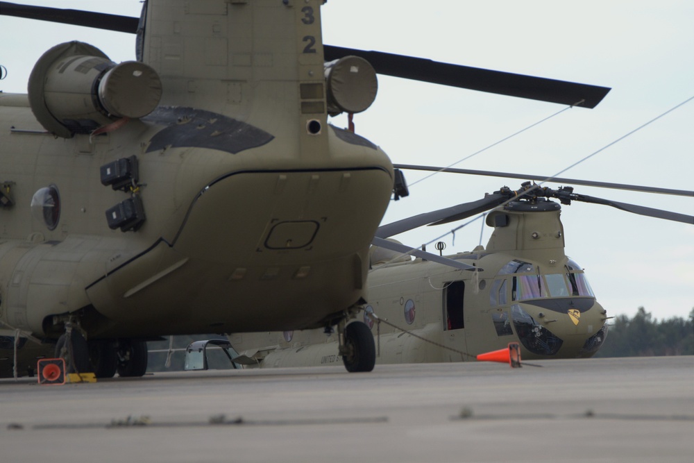 1st Air Cavalry Brigade Pinnacle Landing Operations