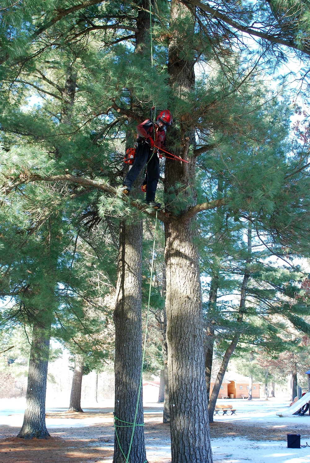 Contractors complete arbor work throughout Fort McCoy, improving tree health