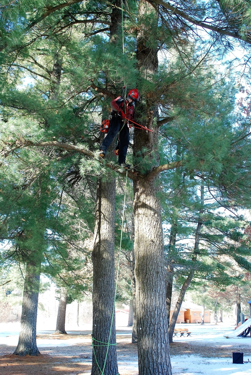 Contractors complete arbor work throughout Fort McCoy, improving tree health