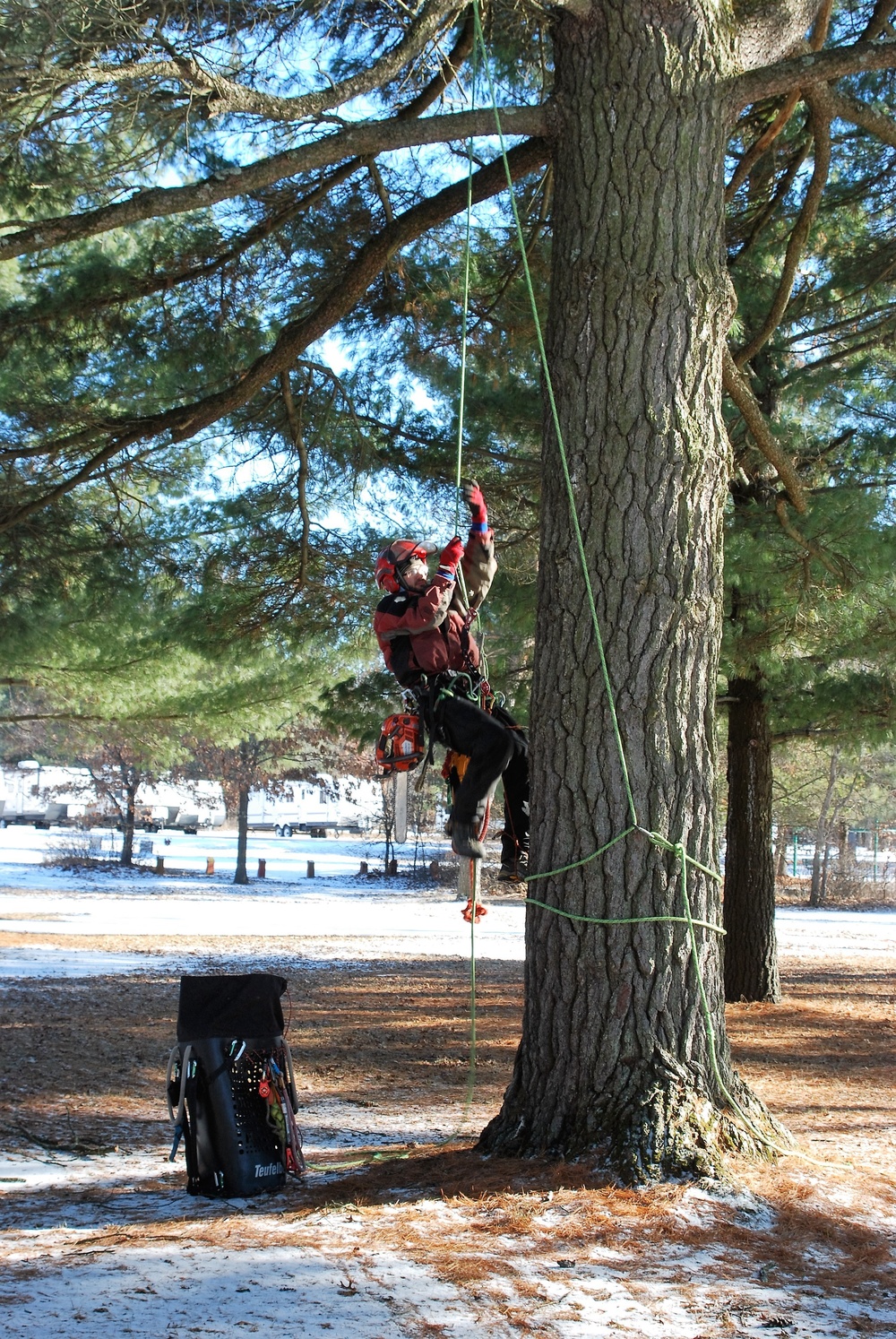 Contractors complete arbor work throughout Fort McCoy, improving tree health