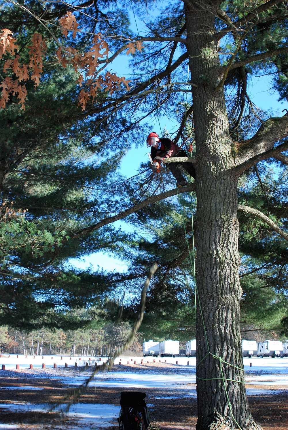 Contractors complete arbor work throughout Fort McCoy, improving tree health