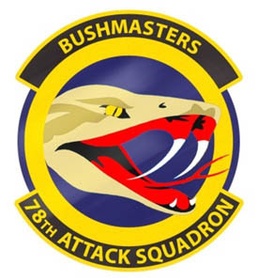 RPA attack squadron honors 100 years of training, combat