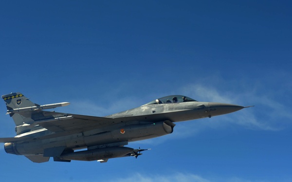 F-16 Fighting Falcons