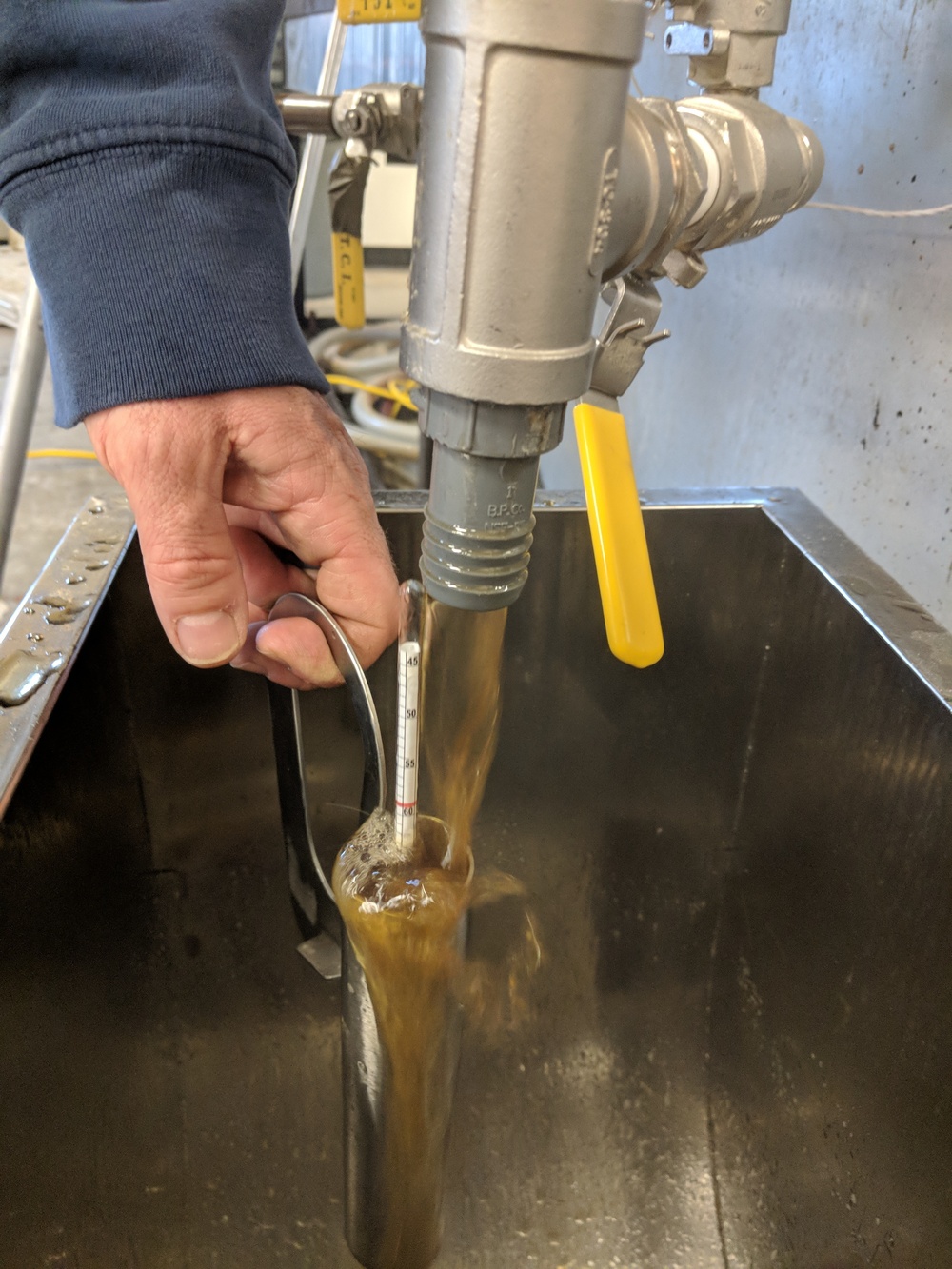 DVIDS Images Maple Days return to Fort Drum [Image 3 of 3]