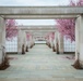Horticultural March Buds and Blooms at Arlington National Cemetery