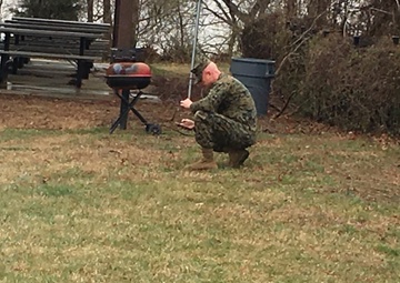 Wisdom Tree--Gone with the wind