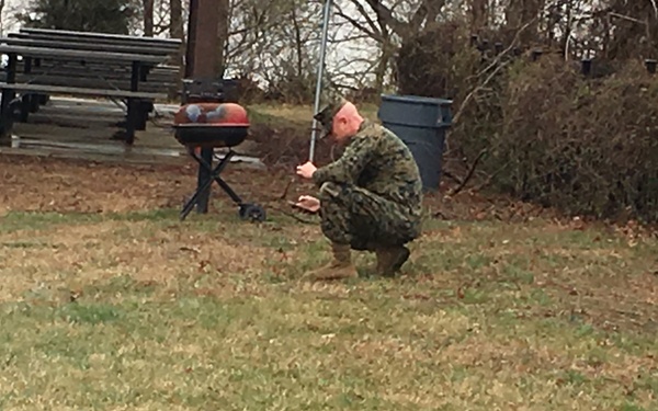 Wisdom Tree--Gone with the wind