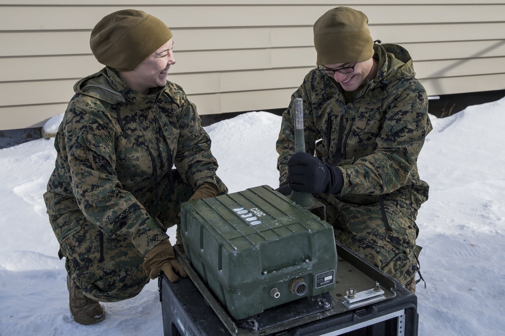 Task Force Arctic Edge